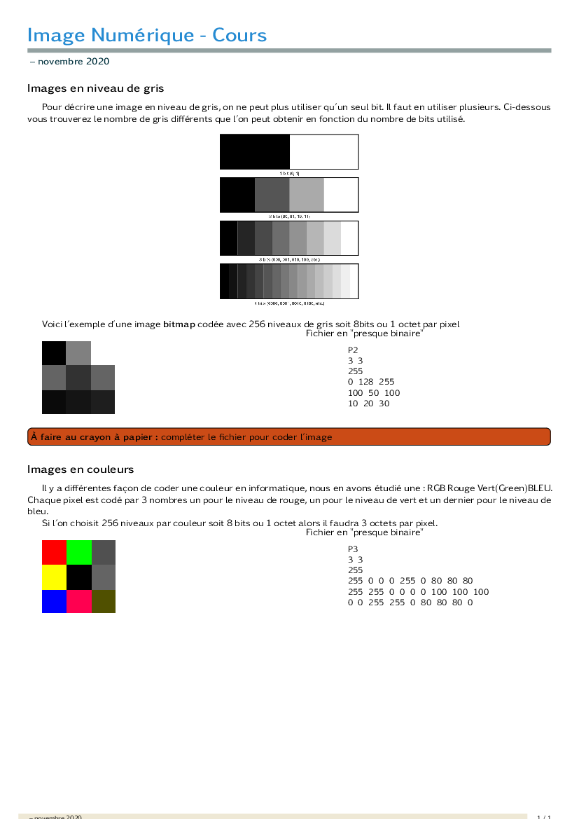 Image bitmap en gris et couleurs
